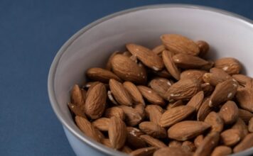 狗狗可以吃杏仁嗎？不是所有堅果都能餵狗狗！