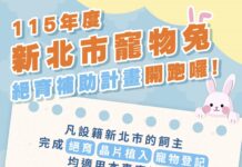 115年度新北市寵物兔絕育補助計畫開跑！公兔補助1,200元、母兔補助2,000元，名額有限額滿為止