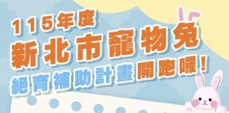 115年度新北市寵物兔絕育補助計畫開跑！公兔補助1,200元、母兔補助2,000元，名額有限額滿為止