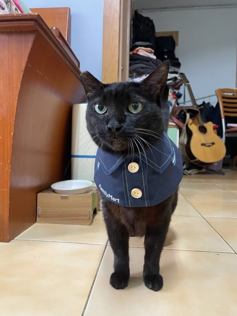 ▲全家推出超萌貓咪制服（圖片來源：Threads/@red_lin_photography）