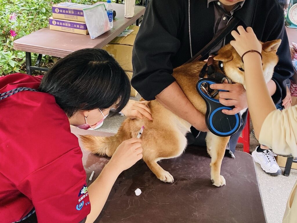 2026台北花伴野餐 - 臺北市動物保護處加碼於3月29日提供免費狂犬病疫苗施打與寵物登記服務（圖片來源：臺北市動物保護處）