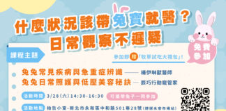 新北市免費寵物兔講座開放報名！特寵獸醫師解析「何時該帶兔寶就醫」與日常照護關鍵