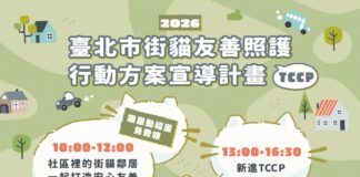 打造人貓和諧社區！臺北市TCCP街貓友善照護計畫2026年推廣說明會與志工培訓正式開跑，參加活動「動福蛋」免費領！