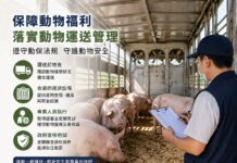 強化動物運送福利與安全!農業部推動動保法規範落實,建立全方位動物運送管理機制 保障動物福利 運送動物應落實動保法相關規範