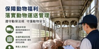 保障動物福利 運送動物應落實動保法相關規範