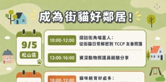 2026年台北市TCCP街貓友善計劃課程