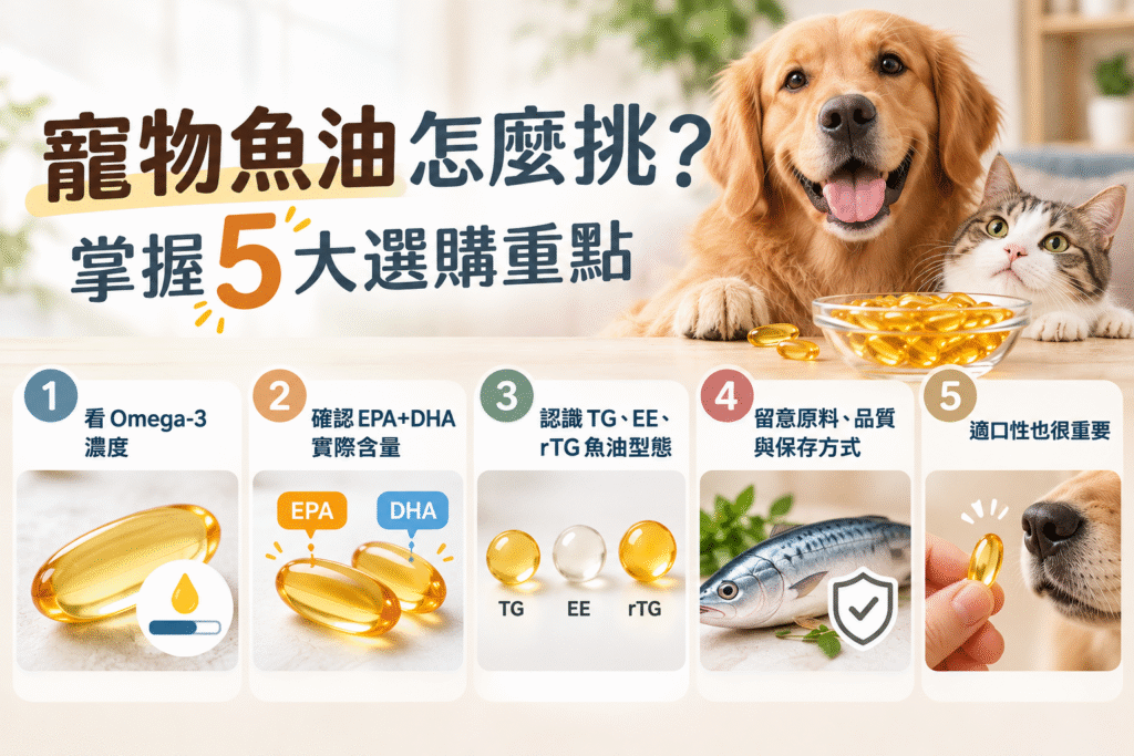 寵物魚油挑選方式懶人包